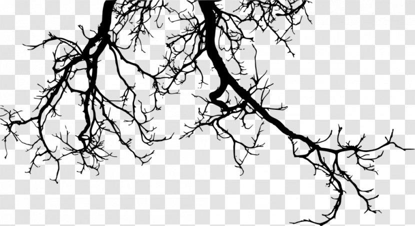 Twig Branch Tree Clip Art - Monochrome - Pine Branches Buckle Free Transparent PNG