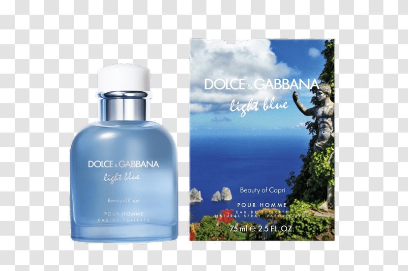 Dolce Gabbana Fragrances Light Blue & Perfume Eau De Toilette - Cologne Edt Spray For Men Transparent PNG