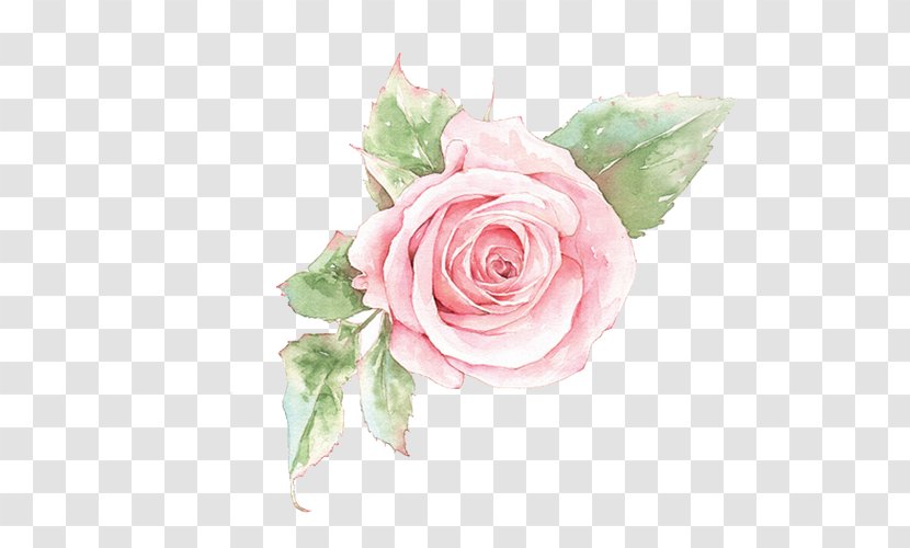 Flower Clip Art - Petal - Pink Roses Transparent PNG