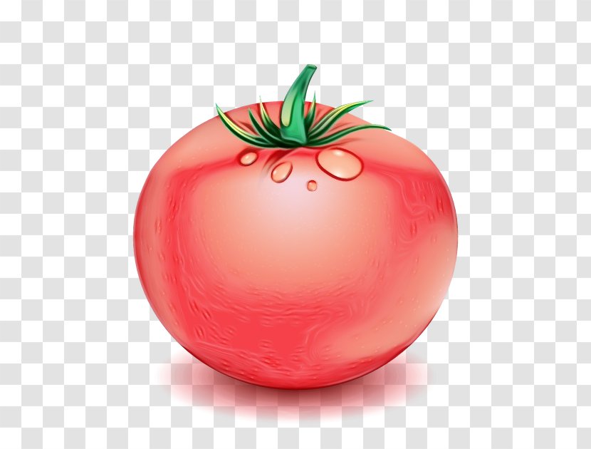 Tomato - Superfood Nightshade Family Transparent PNG