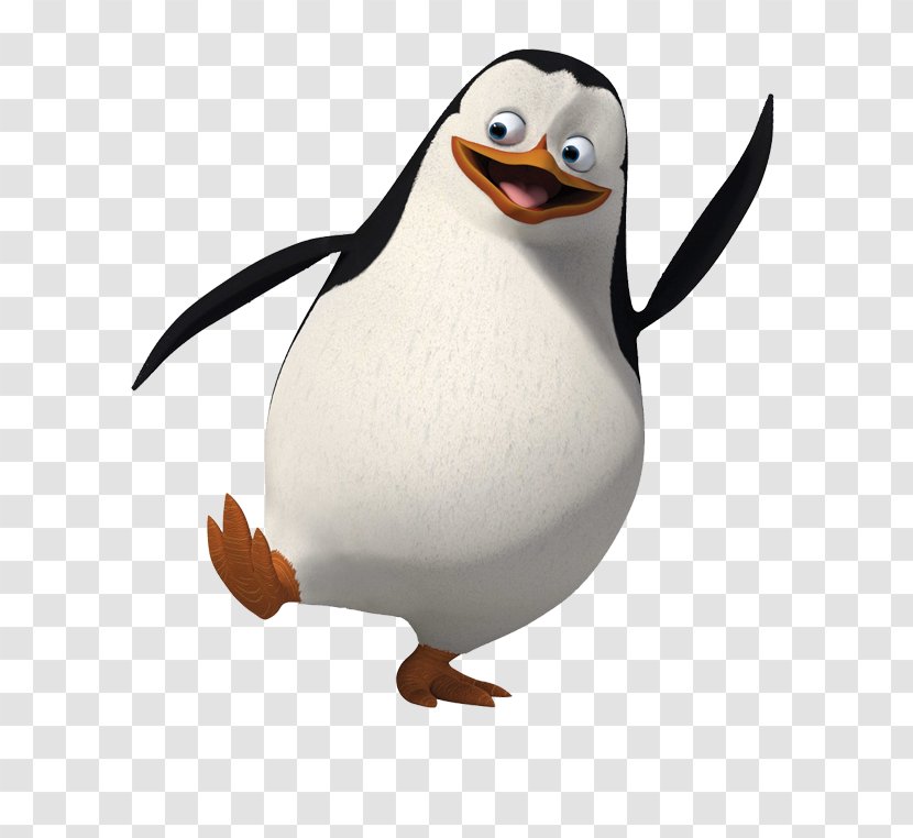 Penguin Cartoon - Puffin - King Transparent PNG