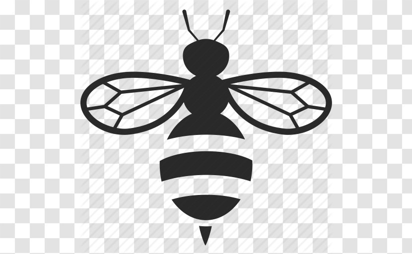 European Dark Bee Beehive - Honey - Free Icon Transparent PNG