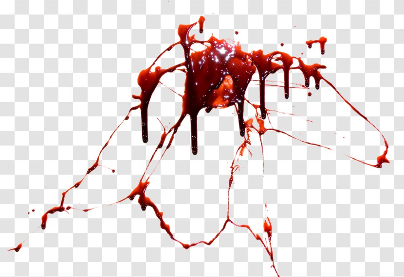 Blood Clip Art - Invertebrate Transparent PNG