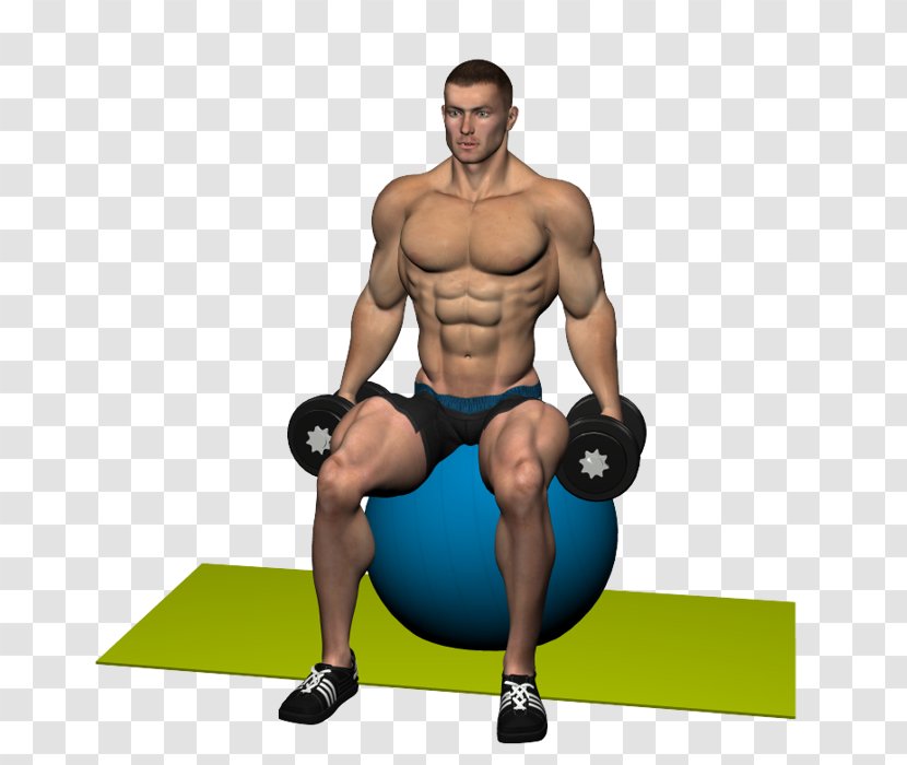 Weight Training Deltoid Muscle Shoulder Trapezius - Heart - Exercise Balls Transparent PNG