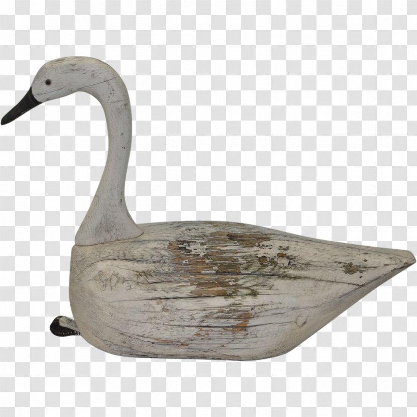 Duck Decoy Goose Cygnini Transparent PNG