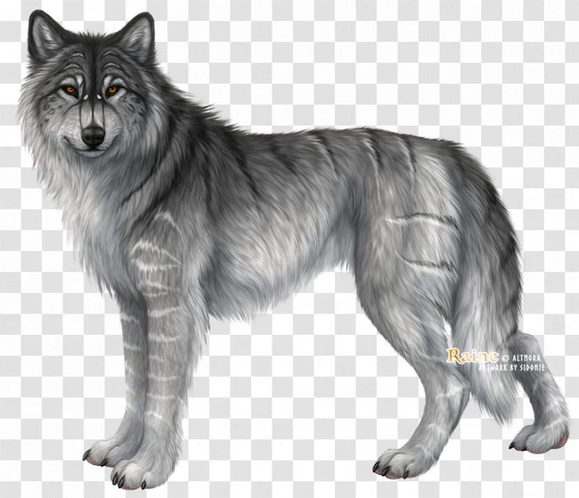 Utonagan Saarloos Wolfdog Kunming Tervuren Shiloh Shepherd Dog - Black And White - Furry Wolf Transparent PNG