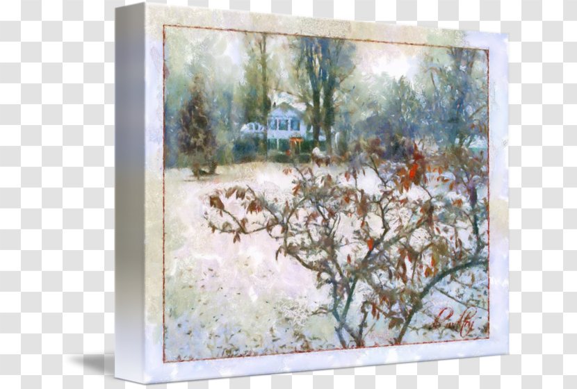 Watercolor Painting Picture Frames Branching Transparent PNG