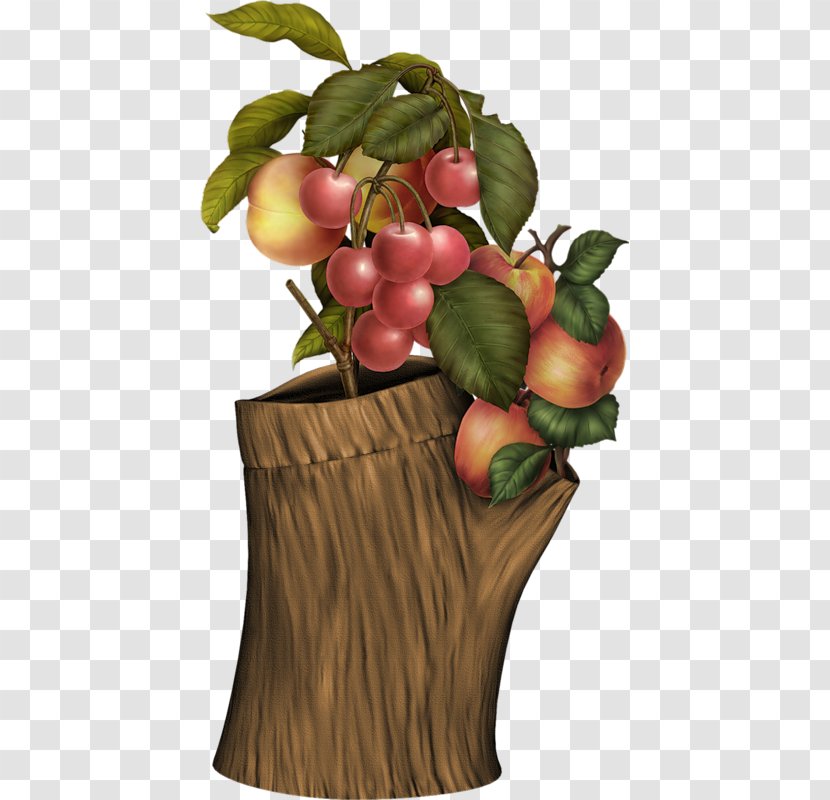 Fruit Peach Grape Berry - Food - Creative Transparent PNG