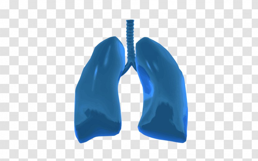 Lung On A Chip Organ-on-a-chip Tissue - Frame - Lungs Transparent PNG