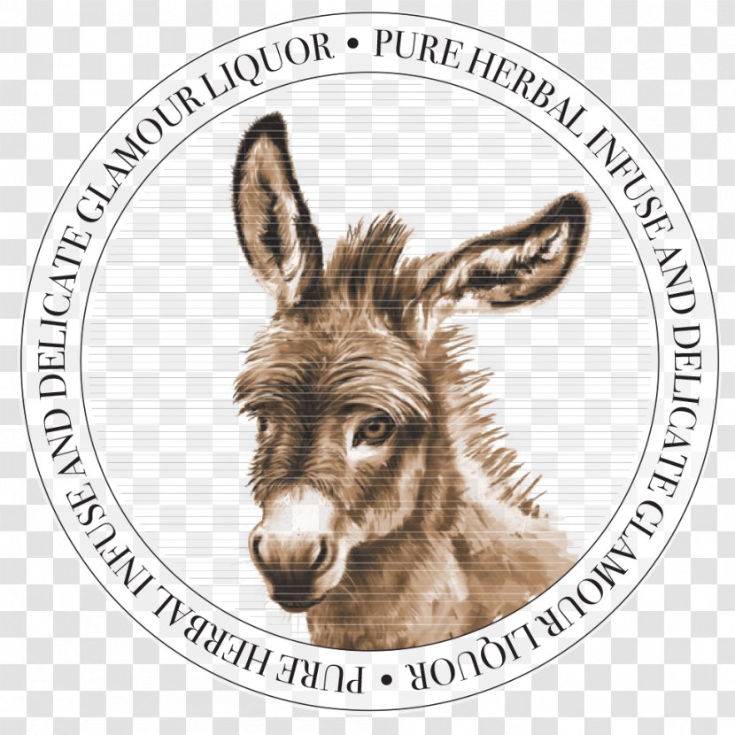 Donkey Drawing Transparent PNG