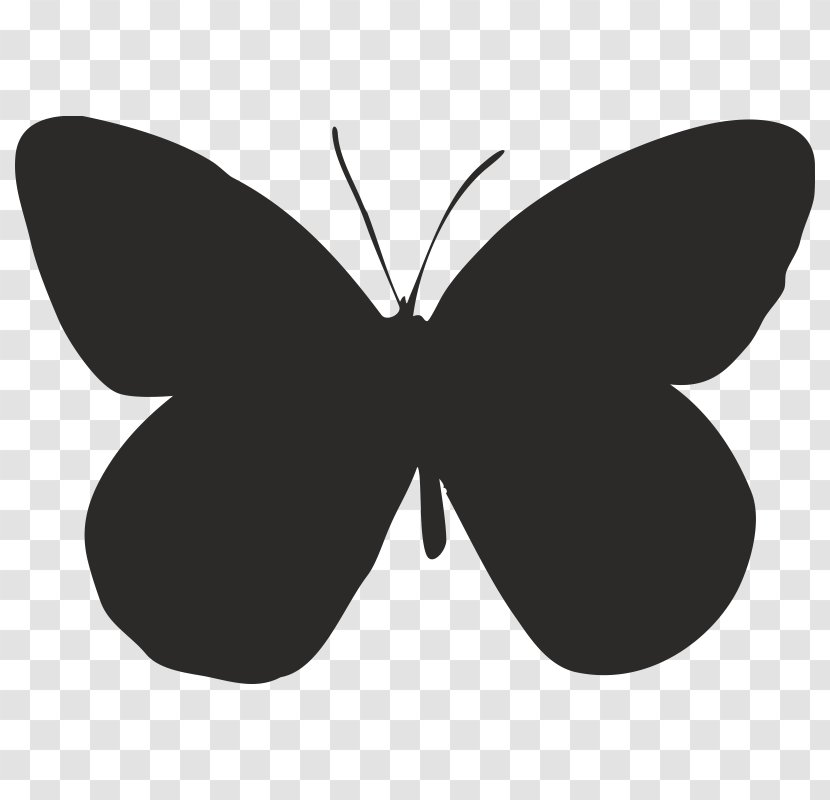 Brush-footed Butterflies Moth Butterfly Graphics Font - Monochrome Transparent PNG