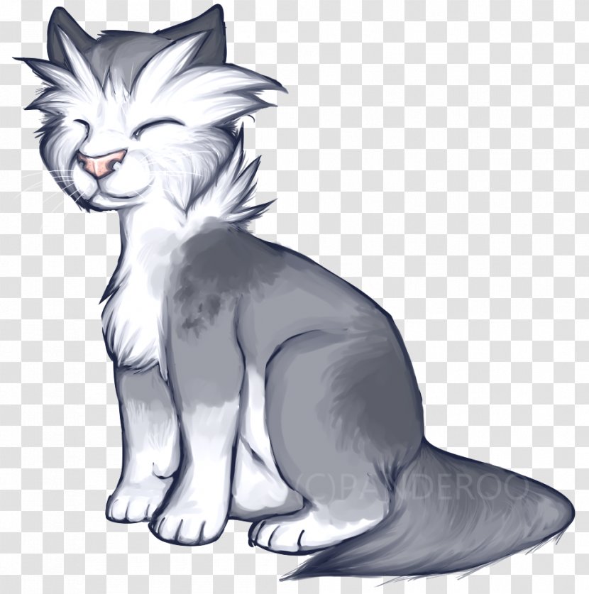 Whiskers Kitten Wildcat Canidae Transparent PNG