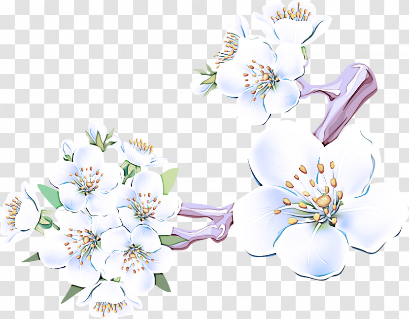 Flower Plant Lilac Petal Blossom Transparent PNG