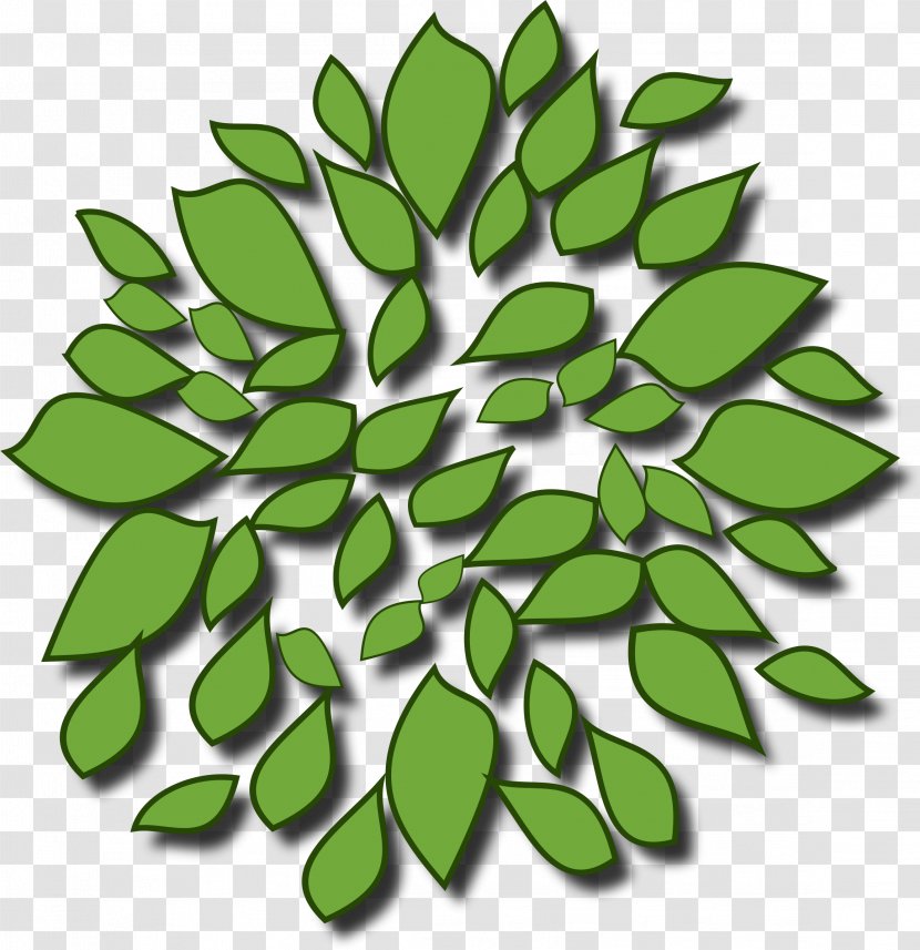 Tree Arecaceae Clip Art - Leaf - Top View Transparent PNG