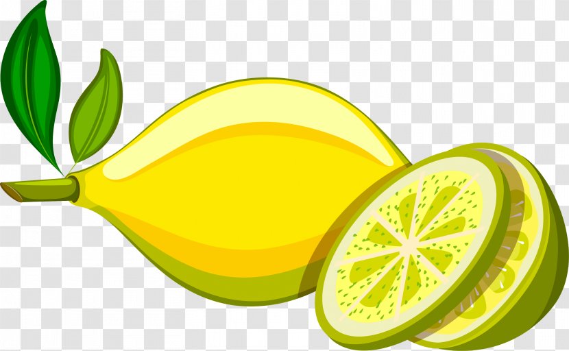 Lemon Yellow Persian Lime - Food - Fresh Transparent PNG