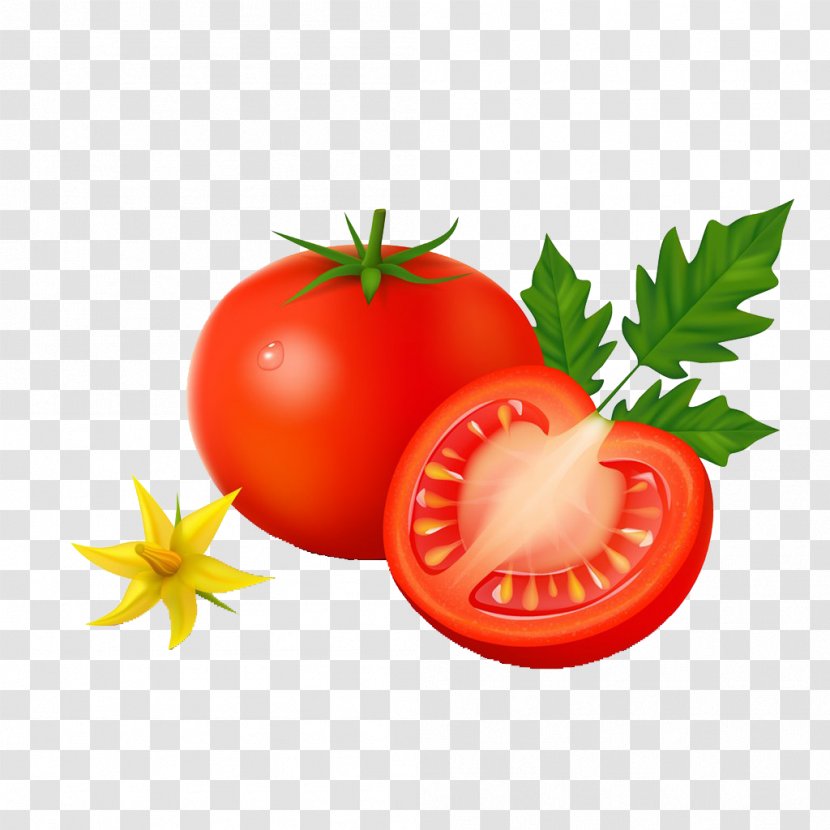 Vegetable Tomato Potato Cartoon Transparent PNG