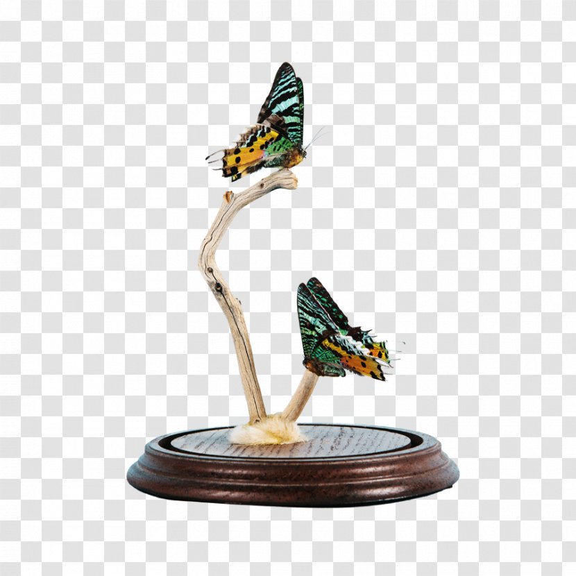 Figurine - Moths And Butterflies - Mud Lamp Transparent PNG