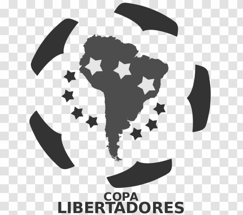 Boca Juniors Football Sociedade Esportiva Palmeiras Wikipedia Copa Libertadores Transparent PNG