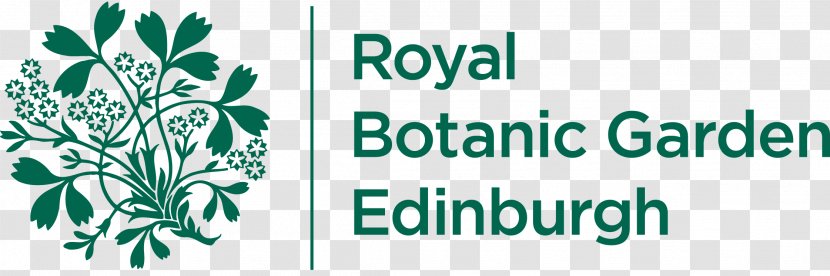 Royal Botanic Garden Edinburgh Dawyck Benmore Gardens, Kew Logan - Flora - Construction Planning Transparent PNG