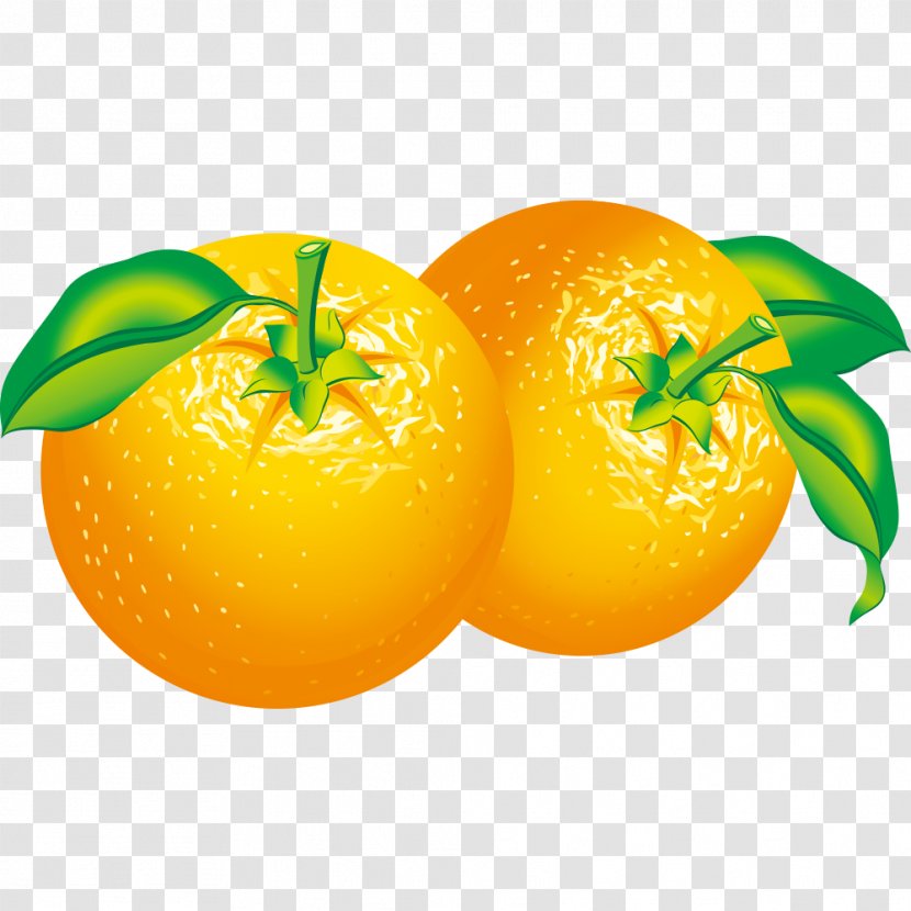 Orange Citrus Clip Art - Clementine - Three-dimensional Super Vector Material Transparent PNG