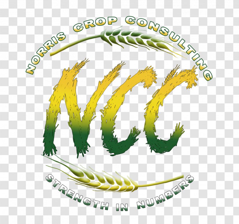 Consultant Crop Marketing Consulting Firm Farm Transparent PNG