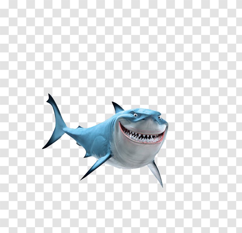 Finding Nemo Marlin Bruce Pixar Clip Art - Cartilaginous Fish - Shark Transparent PNG