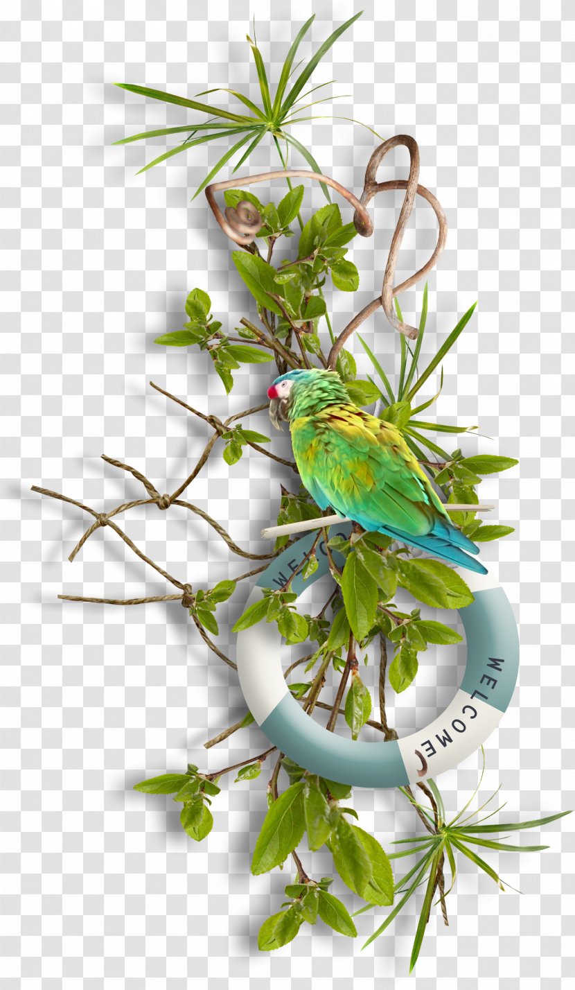 Fishing Net Clip Art - Plant - Foliage Parrot Transparent PNG