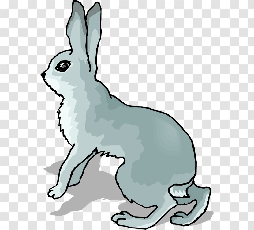 Arctic Hare Snowshoe European Clip Art - Vertebrate Transparent PNG