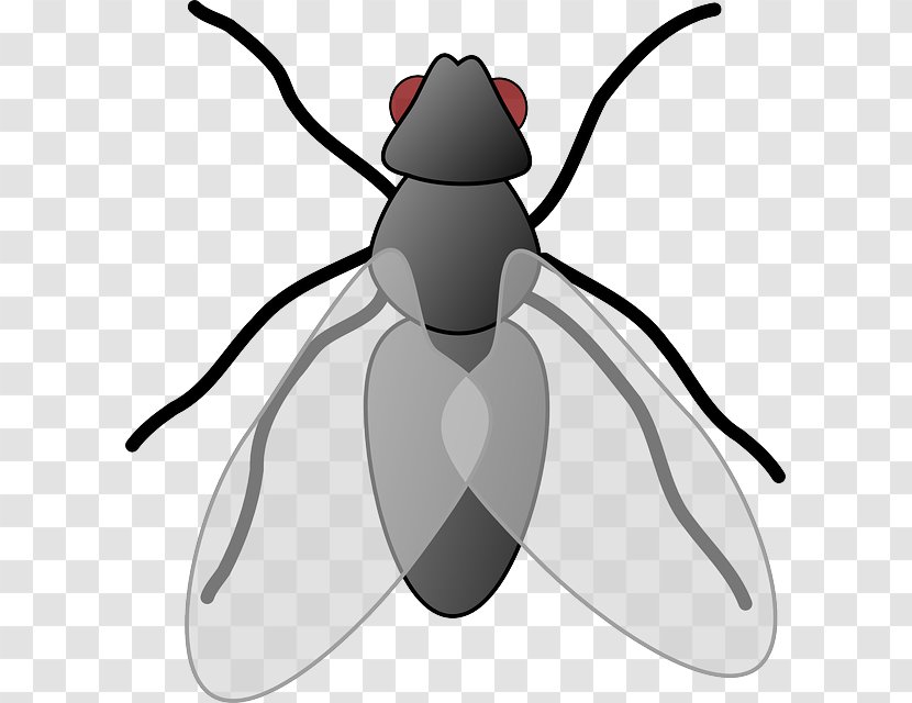 Clip Art Openclipart Free Content Fly Image - Black - Insect Transparent PNG