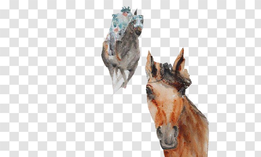 Horse Racing Equestrianism - Watercolor Picture Material Transparent PNG