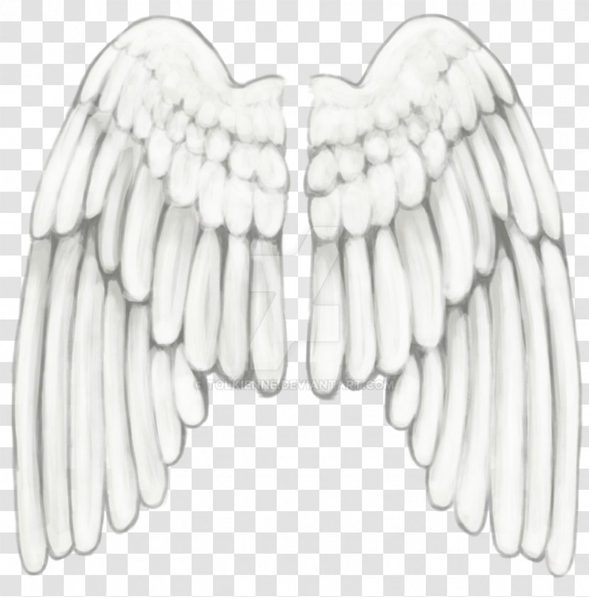 Drawing Feather Angel Wing - Cartoon Transparent PNG