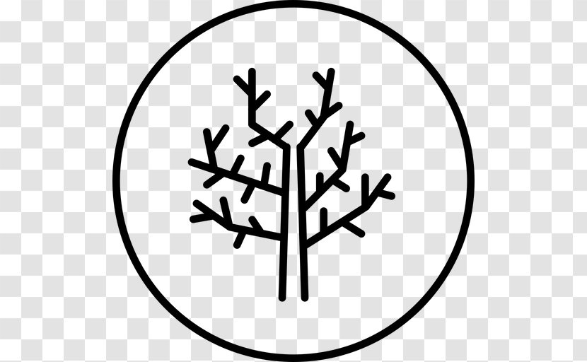 Clip Art Tree Image Branch - Drawing - White Of Gondor Transparent PNG