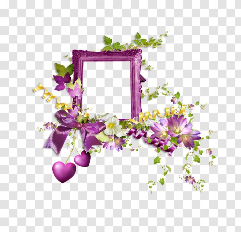 Floral Design Picture Frames Flower Photography Transparent PNG