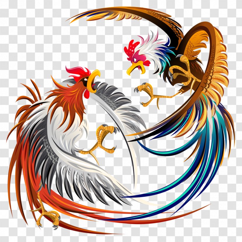 Cockfight Rooster Chicken Illustration - Stock Photography - Cockfighting Transparent PNG