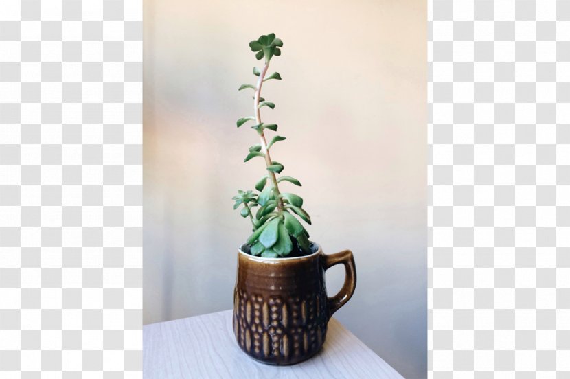 Houseplant Flowerpot Ceramic - Design Transparent PNG