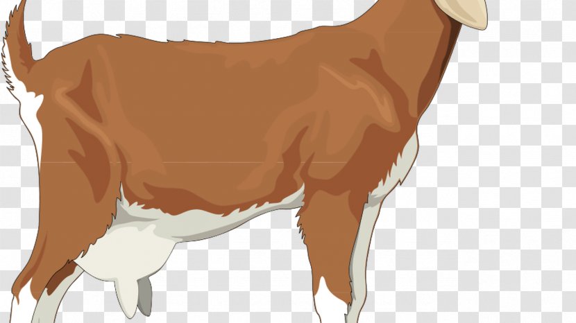 Golden Guernsey Boer Goat Sheep Russian White Clip Art - Tail Transparent PNG