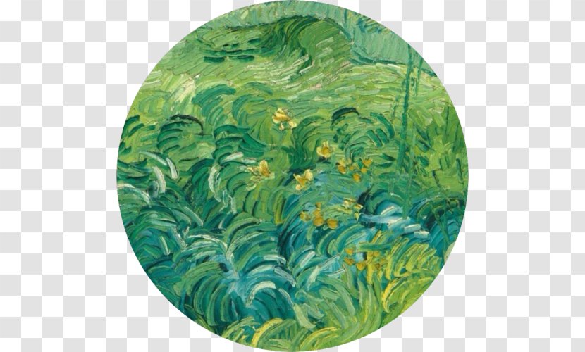 National Gallery Of Art Van Gogh Self-portrait Field With Green Wheat Cypress - Aquatic Plant - Starry Night Transparent PNG