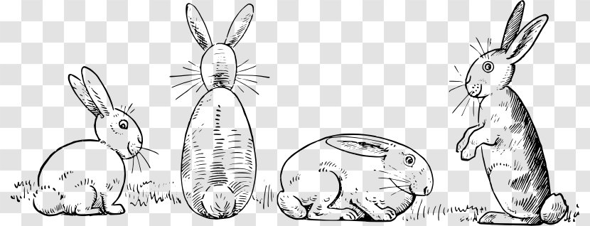 Domestic Rabbit Hare Drawing Sketch - Artwork - Black Transparent PNG