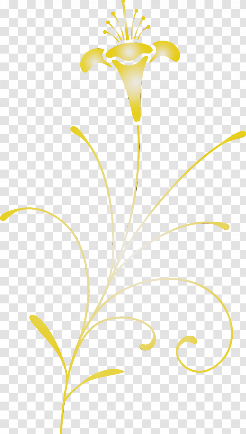 Yellow Plant Flower Pedicel Plant Stem Transparent PNG