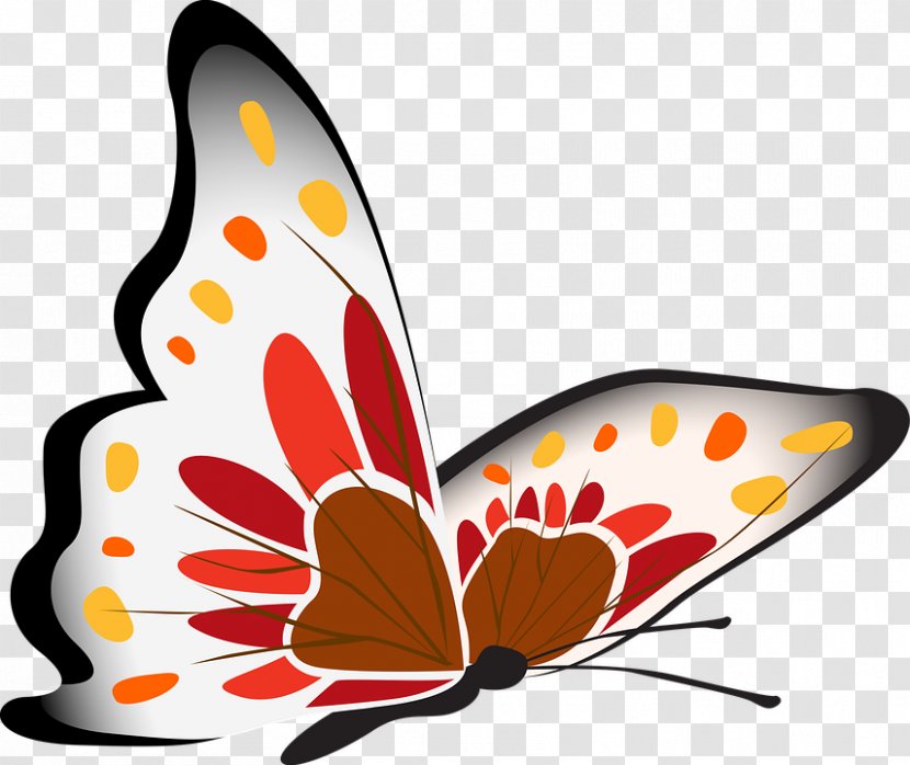 Download Clip Art - Video - Clipart-butterfly Transparent PNG