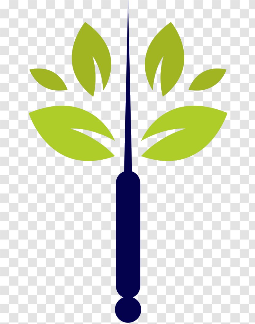 Leaf Clip Art Plant Stem Product Design Line Transparent PNG