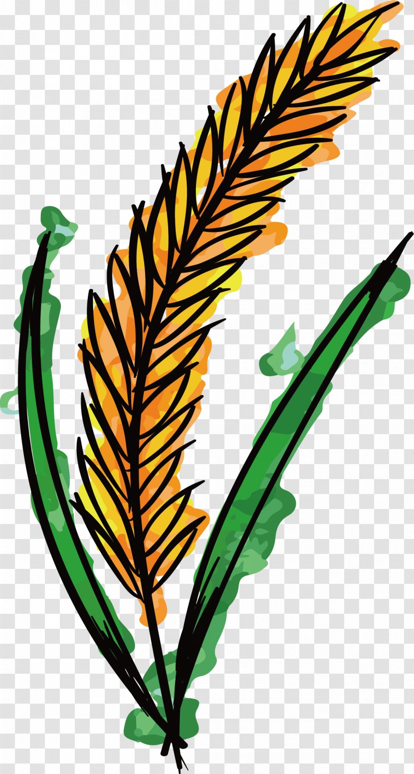 Watercolor Painting Wheat Clip Art - Branch - Hand-painted Transparent PNG