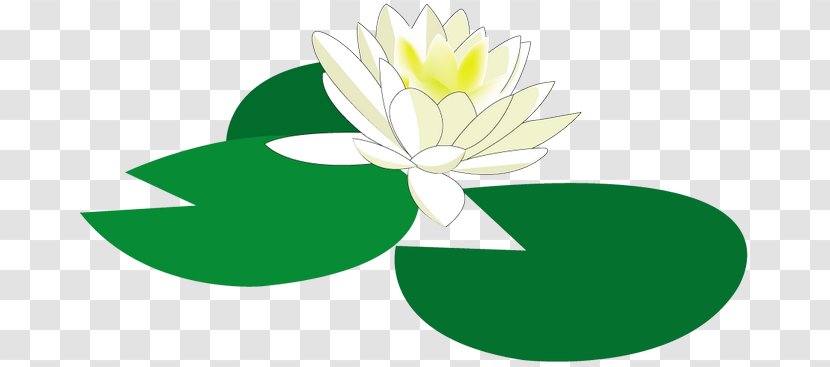 Water Lily Flower Floral Design Clip Art - Petal Transparent PNG