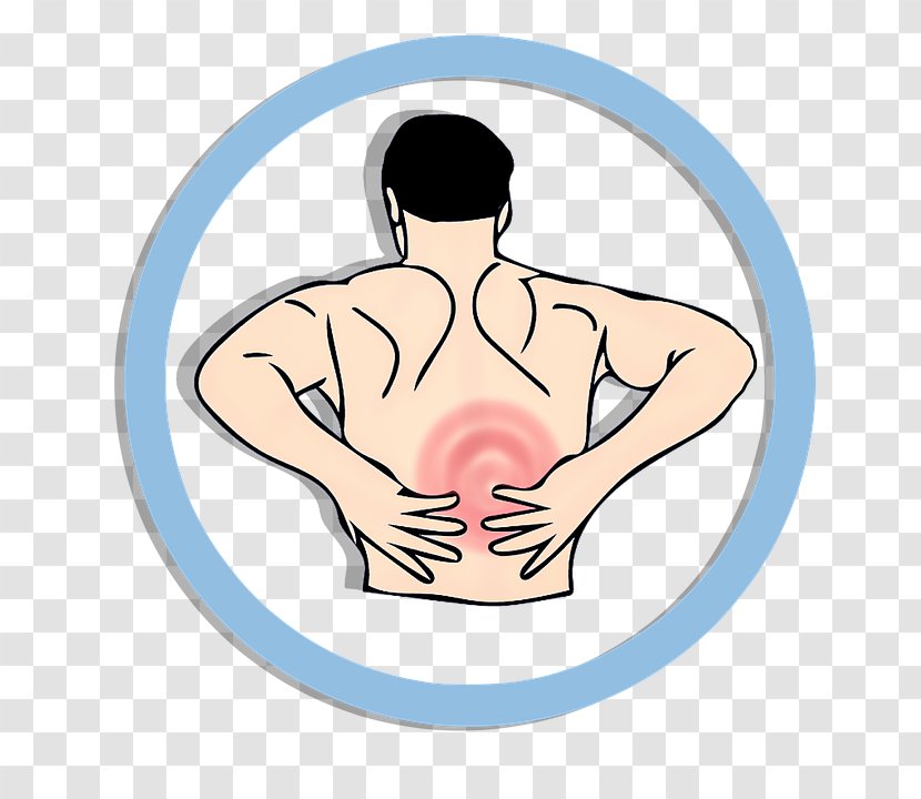 Middle Back Pain Low Human Physical Therapy Chiropractic - Tree - Headache Transparent PNG