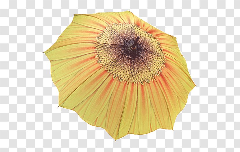 Umbrella Stand Yellow Clothing Accessories Red Transparent PNG