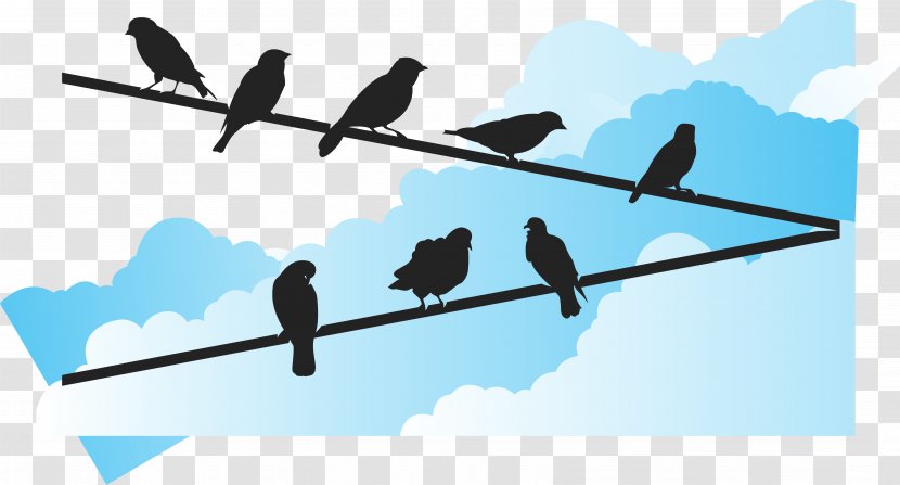 Bird Euclidean Vector Wire - Electrical Cable - Blue Sky Under The Transparent PNG