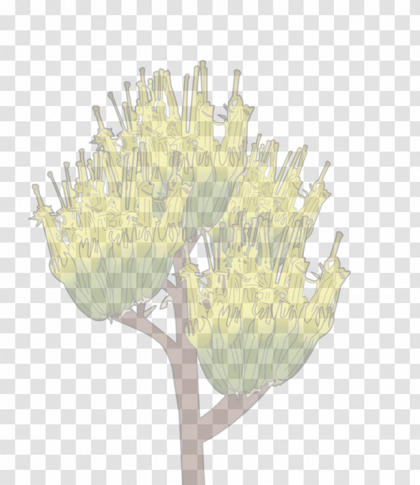 Petal Branching Plant Stem Transparent PNG