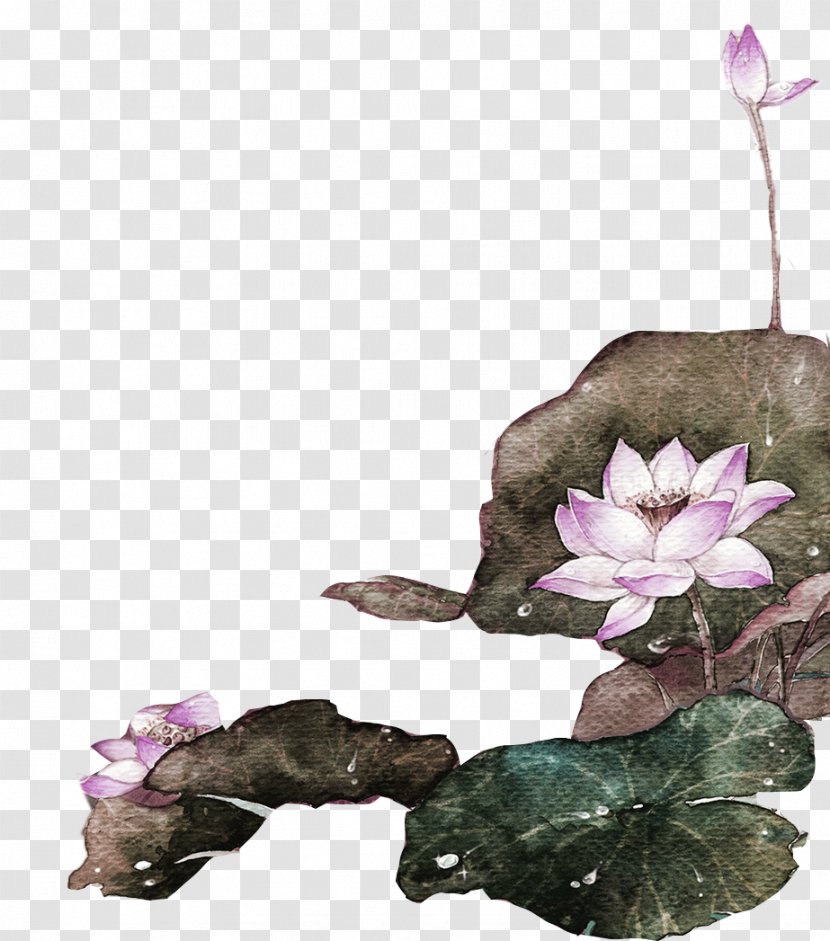 Nelumbo Nucifera Green - Floral Design - Lavender Fresh Lotus Decoration Pattern Transparent PNG