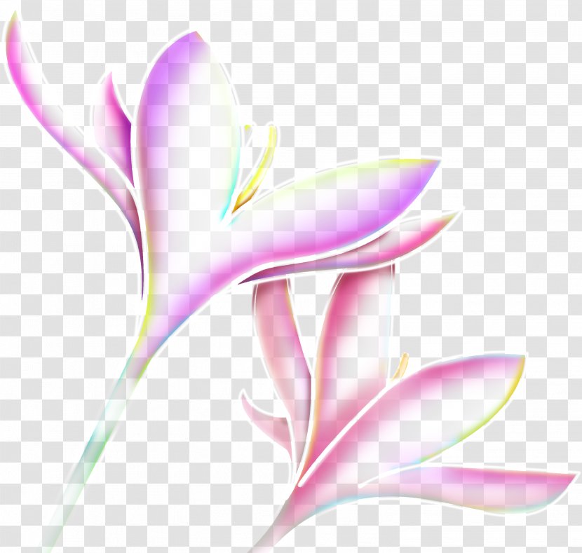 Flower Pink Clip Art - Raster Graphics - Snowdrop Transparent PNG