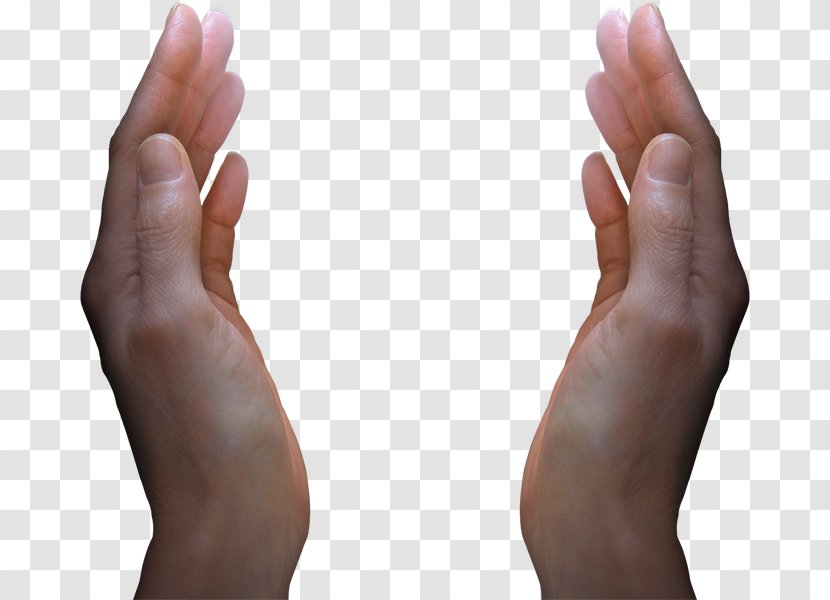 Hand Thumb Clip Art - Handshd Transparent PNG